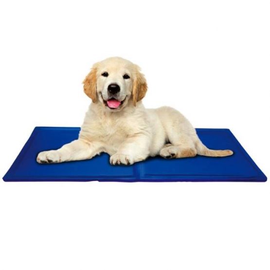 Patura termica pentru animale 50x65 cm Albastru4 Patura termica pentru animale 50x65 cm Albastru
