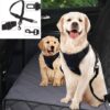 Husa auto protectie bancheta si transport animale 148 x 215 cm Negru2 Husa auto protectie bancheta si transport animale 148 x 215 cm Negru