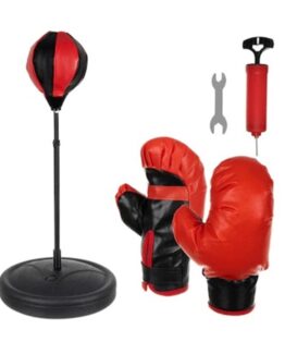 Set de box pentru copii, manusi si sac de box