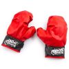 Set de box pentru copii, manusi si sac de box