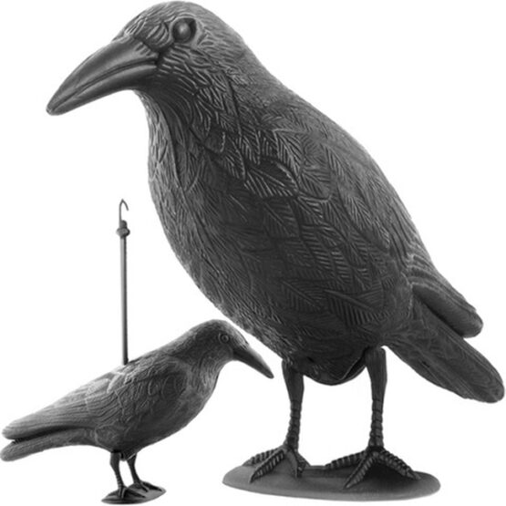eng_pm_Bird-repeller-raven-5598_4 Sperietoare de pasari, anti porumbei, tip corb