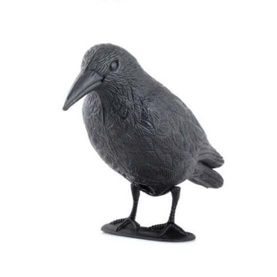 eng_pm_Bird-repeller-raven-5598_6 Sperietoare de pasari, anti porumbei, tip corb