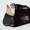 Geanta transport pentru animale de dimensiuni mici Geanta transport pentru animale de dimensiuni mici