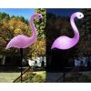 Set 3 lampi solare gradina model flamingo 52 cm Set 3 lampi solare gradina model flamingo 52 cm