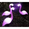 Set 3 lampi solare gradina model flamingo 52 cm Set 3 lampi solare gradina model flamingo 52 cm