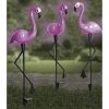 Set 3 lampi solare gradina model flamingo 52 cm Set 3 lampi solare gradina model flamingo 52 cm