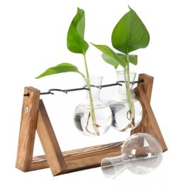 Set 3 vaze hidroponice pentru cultivarea florilor si ierburilor acasa Set 3 vaze hidroponice pentru cultivarea florilor si ierburilor acasa