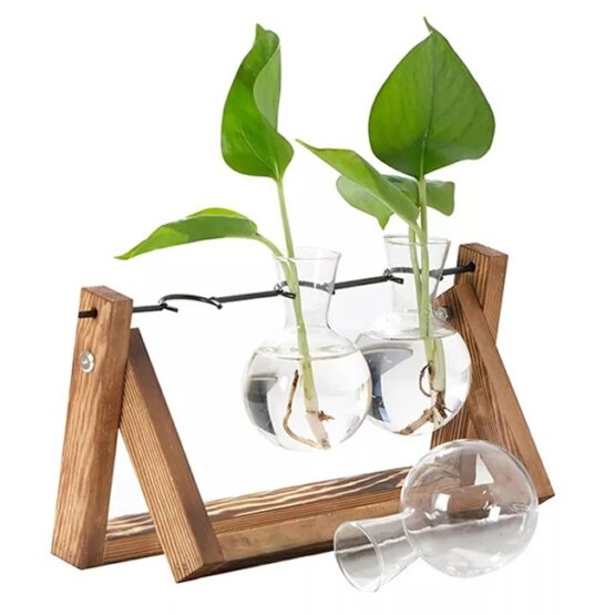 Set 3 vaze hidroponice pentru cultivarea florilor si ierburilor acasa Set 3 vaze hidroponice pentru cultivarea florilor si ierburilor acasa