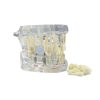 Model dentar anatomia maxilarului si dintilor Model dentar anatomia maxilarului si dintilor