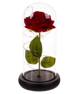 Trandafir criogenat in cupola de sticla cu lumini LED