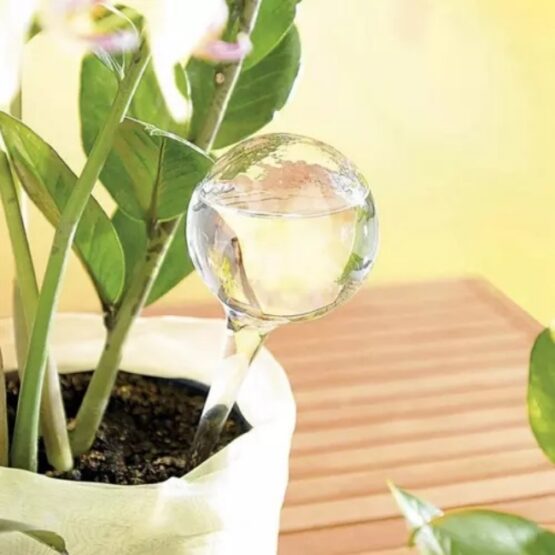 Set 8 picuratoare pentru irigare plante 280 ml Set 8 picuratoare pentru irigare plante 280 ml