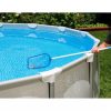 Kit curatare piscina cu aspirator, Albastru / Alb Kit curatare piscina cu aspirator, Albastru / Alb