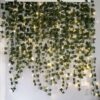 Ghirlanda iedera luminoasa pentru decorare, perete, balcon, terasa, Verde Ghirlanda iedera luminoasa pentru decorare, perete, balcon, terasa, Verde