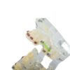 Model aparat dentar cu bracketi pentru anatomia maxilarului si dintilor, Transparent - KESNUP