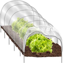 Mini sera de gradina tip tunel, pentru protejarea culturilor, Transparent Mini sera de gradina tip tunel, pentru protejarea culturilor, Transparent