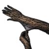 Manusi lungi peste cot cu imprimeu leopard, Animal Print Negru