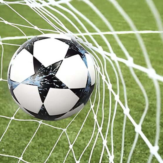 Poarta de fotbal pentru exterior cu dimenisunea 213 x 150 x 90 cm, Argintiu