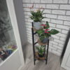 Suport pentru ghivece plante si flori tip etajera cu 3 nivele KESNUP, rezistent si stabil, pentru interior / exterior, calitate superioara, dimensiuni 81 (inaltime) x 73 - 54 - 14 (inaltimi etajere) x 27 (baza) cm, greutate maxima 15 kg, Negru