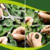 "Plasa de camuflaj pentru gard cu dimensiune 3 x 6 m si 100 clipsuri prindere KESNUP, camuflaj militar cu efect de umbrire, material polyester impermeabil, margini intarite cu snur, pentru gradina, camping, airsoft, camuflare proprietate, Verde inchis" 10 "Plasa de camuflaj pentru gard cu dimensiune 3 x 6 m si 100 clipsuri prindere KESNUP, camuflaj militar cu efect de umbrire, material polyester impermeabil, margini intarite cu snur, pentru gradina, camping, airsoft, camuflare proprietate, Verde inchis"