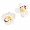Set 2 brose pentru pantofi sau sandale, design trandafir, Alb