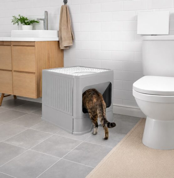 Litiera acoperita pisici cu lopatica KESNUP, tavita pentru nisip extensibila, intrare iesire dubla frontala - superioara, dimensiune mare 50 x 38 x 36 cm, antiscurgere, antistropire, ideala pentru izolarea mirosurilor neplacute, material policarbonat, Gri 7 Litiera acoperita pisici cu lopatica KESNUP, tavita pentru nisip extensibila, intrare iesire dubla frontala - superioara, dimensiune mare 50 x 38 x 36 cm, antiscurgere, antistropire, ideala pentru izolarea mirosurilor neplacute, material policarbonat, Gri